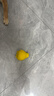 宜特（EETOYS）梨瞅啥鴨狗狗玩具發(fā)聲互動(dòng)趣味外形小中型犬柔韌耐咬解悶寵物用品 曬單實(shí)拍圖