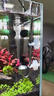 牧梵不銹鋼二氧化碳細化器水草魚(yú)缸CO2霧化器水草碳源溶解擴散器 不銹鋼co2細化器20cm（送吸盤(pán)+管2米） 曬單實(shí)拍圖