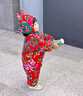 G.duck小黃鴨?wèn)|北大花布嬰兒童裝棉服套裝兒童過(guò)年服衣服棉衣寶寶連體衣 紅色 90cm 曬單實(shí)拍圖