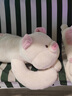 DEATKN德國趴趴公仔小豬毛絨玩具大號豬玩偶娃娃男女孩床上抱著(zhù)睡覺(jué)抱枕 櫻花粉-睡夢(mèng)款 枕套 1.3米巨大號 曬單實(shí)拍圖