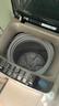 志高（CHIGO）全自動(dòng)洗衣機 家用小型波輪 洗脫一體機大容量 公寓宿舍出租房 10KG咖啡金【藍光洗護+風(fēng)干潔桶+強電機】 曬單實(shí)拍圖