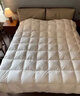 波蘭進(jìn)口羽絨被99%白鵝絨靜音保暖高檔七星級酒店鵝絨空調被芯 太空白【100%鵝絨+會(huì )員禮袋】 150*200cm【6斤】秋冬款 曬單實(shí)拍圖