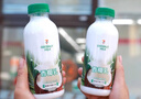 7-ELEVEN椰輕說(shuō)香椰乳便利店熱賣(mài)款椰乳飲料新品上市冰飲沁爽熱飲香滑 711香椰乳420ml*15瓶 曬單實(shí)拍圖