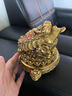 聚善緣招財金蟾聚寶盆擺件工藝品金蟬玄關(guān)辦公室收銀臺三足蟾蜍開(kāi)業(yè)禮品 黃銅金蟾元寶聚寶盆 XS小號長(cháng)20*寬14*高15cm 送錢(qián)幣 曬單實(shí)拍圖
