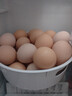 九云仙正宗皖南山林土雞蛋新鮮現撿農家散養無(wú)抗草雞蛋柴雞蛋綠殼烏雞蛋 50枚精品土雞蛋【跑山雞2200g】 曬單實(shí)拍圖
