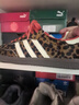 阿迪達斯（adidas）SAMBA三葉草送女友休閑鞋女鞋豹紋棕色JI2734 38.5 曬單實(shí)拍圖