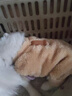 VOXCAE泰迪衣服狗狗衣服寵物小型犬狗狗衣服秋冬季保暖比熊博美幼犬加厚 棕色XL碼（建議9-11斤） 【升級加絨加厚款】 曬單實(shí)拍圖