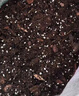 彩樂(lè )植通用營(yíng)養土月季綠植 繡球藍莓法師多肉泥炭松鱗透氣疏松 月季繡球花卉土40升  重約18斤 曬單實(shí)拍圖