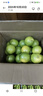 【東東農場(chǎng)專(zhuān)供】云南玉溪綠皮冰糖橙子新鮮水果橙子 帶箱8斤裝單果65-70mm 曬單實(shí)拍圖
