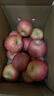 阿克蘇蘋(píng)果新疆阿克蘇冰糖心蘋(píng)果 當季應季新鮮時(shí)令水果丑蘋(píng)果紅富士 帶箱5斤 單果150g+(約11個(gè)左右)  凈果4.5斤 曬單實(shí)拍圖