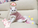 OIMG貓咪衣服保暖秋冬季小貓衣服保暖背心外套寵物狗狗小貓幼貓防掉毛 粉色兔子毛絨背心 M：胸圍42CM【建議5-8斤】 曬單實(shí)拍圖