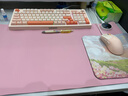 卡通款加熱鼠標墊大號發(fā)熱暖桌墊辦公室電腦桌面發(fā)熱墊學(xué)生寫(xiě)作業(yè)暖手墊冬天暖手神器發(fā)熱鼠標墊 【純色-粉色】 80*33-6檔數顯定時(shí)款 曬單實(shí)拍圖