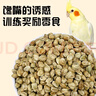 寵樂(lè )凱當季新麻子鳥(niǎo)糧紙殼麻子鸚鵡專(zhuān)用糧食飼料玄風(fēng)小太陽(yáng)獎勵零食鳥(niǎo)食 600g 【大顆粒-升級款大罐裝】 原味 曬單實(shí)拍圖