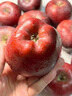 味果生甘肅天水花牛蘋(píng)果應季新鮮孕婦水果粉面沙甜寶寶輔食刮果泥紅蛇果 5斤中大果75-80mm凈重4.5斤 曬單實(shí)拍圖