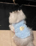阿莫爾幼犬衣服奶狗奶貓超小號背心秋冬保暖茶杯犬0到3個(gè)月泰迪比熊博美 藍色蜜蜂 XXS 0.5-1.5斤-胸圍22cm背長(cháng)14cm 曬單實(shí)拍圖