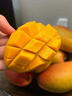 桃西村正宗海南貴妃芒果 紅金龍甜心芒果金煌金青煌芒新鮮熱帶水果整箱 3斤 中小果【單果100-150g】 曬單實(shí)拍圖