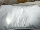 七木楓雅七木枕頸椎枕七木健康枕頭木珠填充硬枕頭頸椎反弓枕頭原木枕頭 楓雅款【1個(gè)枕芯+1個(gè)夏季枕套】 曬單實(shí)拍圖