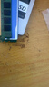 三星（SAMSUNG）DDR3 1333 1600 8g 4g 2g原裝原廠(chǎng)PC3 10600 12800臺式機內存條適用聯(lián)想戴爾惠普華碩電腦升級提速 DDR3 1600 4GB 1條 曬單實(shí)拍圖