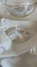 Abercrombie & Fitch【重磅圓領(lǐng)】男裝25夏季美式復古棉質(zhì)寬松短袖T恤124-5573 白色 M (180/100A) 曬單實(shí)拍圖