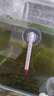 哆維特魚(yú)缸溫度計溫度表高精度龜缸爬寵水族箱缸內測水溫養魚(yú)電子水溫計 小型水溫計帶吸盤(pán) 曬單實(shí)拍圖