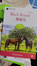 黑貓英語(yǔ)分級閱讀初中高中英語(yǔ)課外讀物中學(xué)ABCDEF級12黑駿馬2胡桃?jiàn)A子34小婦人56遠大前程6動(dòng) A1黑駿馬 曬單實(shí)拍圖