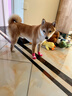 阿莫爾狗狗襪子防滑腳套不掉防臟防抓爪套泰迪比熊中小型犬寵物貓咪鞋子 粉兔子 L 建議8-15斤  寬35mm長(cháng)90mm 曬單實(shí)拍圖