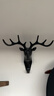 鹿角美式家居裝飾掛鉤墻上置物架壁掛創(chuàng  )意墻面個(gè)性鹿頭墻壁鑰匙架 鹿角黑色2個(gè)裝 曬單實(shí)拍圖