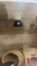 NOMOYPET諾摩加熱燈燈罩玄鳳鸚鵡蘆丁雞鳥(niǎo)類(lèi)專(zhuān)用保溫燈蜥蜴爬寵陶瓷保暖燈 陶瓷燈40W 曬單實(shí)拍圖