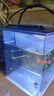 奈寵小魚(yú)缸斗魚(yú)桌面魚(yú)缸側濾一體式亞克力魚(yú)缸免換水迷你小型魚(yú)缸 白色 迷你小魚(yú)缸 小號標準套餐15*10*12.8cm 曬單實(shí)拍圖