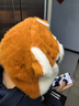 QUEEN TRIP護耳帽子秋冬款卡通男女可愛(ài)小浣熊毛線(xiàn)護耳帽冬季保暖毛絨套頭帽 桔黃(耳朵會(huì )動(dòng)) 曬單實(shí)拍圖