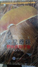 常見(jiàn)蘑菇野外識別手冊 好奇心書(shū)系 中國常見(jiàn)蘑菇種類(lèi)大全 野生蘑菇鑒別寶典 食用蘑菇菌菇松茸菌類(lèi)野生菌類(lèi) 毒蘑菇辨別方法 采摘 曬單實(shí)拍圖