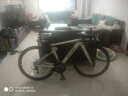 喜德盛（xds）新款AD300鋁合金UCI破風(fēng)車(chē)架公路車(chē)自行車(chē)20速油壓碟剎ad300 白蛇涂裝 480mm （推薦身高165-175） 曬單實(shí)拍圖