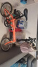 大行（DAHON）順豐發(fā)貨折疊自行車(chē)16寸通勤單車(chē)男女休閑騎行折疊車(chē)KT610 橙色 曬單實(shí)拍圖