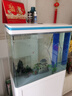 森森（SUNSUN） 魚(yú)缸水族箱金魚(yú)缸玻璃魚(yú)缸大型生態(tài)魚(yú)缸客廳熱彎 HRG-600D底濾白色(0.6米長(cháng)30寬) 曬單實(shí)拍圖