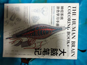 大腦筆記：腦科學(xué)版《秘密花園》神經(jīng)系統涂色學(xué)習手冊 曬單實(shí)拍圖