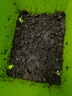 烏龜椰土爬寵墊材椰磚營(yíng)養土苔蘚爬蟲(chóng)椰磚土巴西龜缸冬眠保 椰磚650g*3塊 曬單實(shí)拍圖