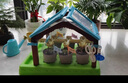 iosn陽(yáng)光房種植兒童玩具材料包植物觀(guān)察迷你種植花園房科學(xué)小實(shí)驗套裝 單層陽(yáng)光房-6包種子+工具 觀(guān)察植物生長(cháng)丨感受大自然的美 曬單實(shí)拍圖