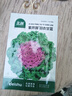北蔬 羽衣甘藍種子苗四季盆栽食用觀(guān)賞蔬菜籽 紫開(kāi)屏羽衣甘藍種子60粒 曬單實(shí)拍圖