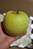 小金蘋(píng)果5斤四川阿壩州特產(chǎn)酸甜脆爽時(shí)令當季孕婦水果小金青蘋(píng)果M 3斤【整箱實(shí)惠裝】 曬單實(shí)拍圖