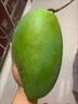 味果生大青芒新鮮水果當季熱帶甜心芒果青皮金煌大芒果現摘整箱 5斤 精選特大果【400-500g】 曬單實(shí)拍圖