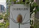 DK植物大百科（新版）典藏級植物圖譜 探索植物秘密 京東自營(yíng)正版 曬單實(shí)拍圖