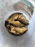 大紅狗子線雙鉤成品魚鉤綁好的防纏繞伊豆伊勢(shì)尼鯽魚釣魚鉤套裝全套 防纏鎢鋼黑金鬼牙雙鉤伊勢(shì)尼(分 1號(hào) 曬單實(shí)拍圖