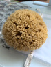 卡琳瑪諾希臘進(jìn)口天然蜂窩海綿洗澡沐浴球搓澡海綿起泡泡浴花球搓泥搓澡巾 原生態(tài)甄選A級希臘原產(chǎn)地 蜂窩海綿14-15cm（大號洗澡） 曬單實(shí)拍圖