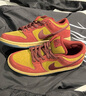 耐克（NIKE）SB Dunk Low Pro 男子經(jīng)典鞋款舒適復古滑板鞋抓地力運動(dòng)休閑鞋 HQ1625-600 44 曬單實(shí)拍圖