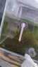 哆維特魚(yú)缸溫度計溫度表高精度龜缸爬寵水族箱缸內測水溫養魚(yú)電子水溫計 小型水溫計帶吸盤(pán) 曬單實(shí)拍圖