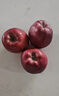 甘肅天水花牛蘋(píng)果2025當季新鮮水果小孩老人粉面紅蛇果（需放粉） 凈重4.5斤【單果160g】 曬單實(shí)拍圖