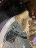 格池（GRECH）室外魚(yú)池過(guò)濾器水循環(huán)凈化系統過(guò)濾桶外置錦鯉池過(guò)濾箱養魚(yú) 2.5m3魚(yú)池升級款過(guò)濾套餐（桶+泵+管） 曬單實(shí)拍圖