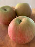 南步正宗東北國光小蘋(píng)果 國光遼寧特產(chǎn)老品種五蓮笨蘋(píng)果新鮮孕婦水果 5斤 精選中果【約20個(gè)】 曬單實(shí)拍圖