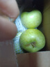 青蘋(píng)果金帥綠蘋(píng)果青水果新鮮應當季丑蘋(píng)果整箱紅冰糖心富士 帶箱2斤（60-65mm） 曬單實(shí)拍圖