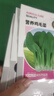 京農研農科院空心菜種子柳葉空心菜芽苗菜三叉通心菜四季陽(yáng)臺蔬菜種籽孑 京農研嫩脆空心菜5克 曬單實(shí)拍圖